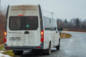Поселение Визинга